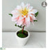 Silk Plants Direct Dahlia - Pink Soft - Pack of 6