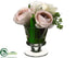 Silk Plants Direct Ranunculus, Rose - Cream Pink - Pack of 1
