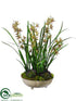 Silk Plants Direct Mini Cymbidium Orchid Plant - Burgundy Green - Pack of 1