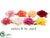 Floating Peony - Assorted - Pack of 24