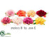 Silk Plants Direct Floating Peony - Assorted - Pack of 24