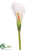 Medium Calla Lily Spray - White - Pack of 12