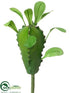 Silk Plants Direct Madagascar Pick - Green - Pack of 12