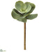 Silk Plants Direct Money Tree Pick - Green - Pack of 6