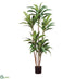Silk Plants Direct Draceana Tree - Green - Pack of 1
