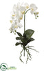 Silk Plants Direct Phalaenopsis Plant With Leaves & Roots - White - Pack of 4