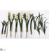 Silk Plants Direct Cymbidium Orchid With Plant Kit Box - White Green - Pack of 1