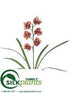 Silk Plants Direct Mini Cymbidium Orchid - Mauve Cream - Pack of 6