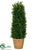 Tea Leaf Cone Topiary - Green - Pack of 1