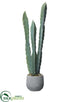 Silk Plants Direct Column Cactus - Green Gray - Pack of 6