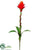 Bromeliad Bloom Spray - Red Orange - Pack of 8