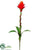 Bromeliad Bloom Spray - Red Orange - Pack of 8