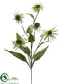 Silk Plants Direct Coneflower Spray - Green - Pack of 6