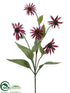 Silk Plants Direct Coneflower Spray - Rubrum - Pack of 6