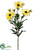 Shasta Daisy Spray - Yellow - Pack of 6