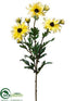 Silk Plants Direct Shasta Daisy Spray - Yellow - Pack of 6