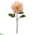 Dinner Plate Dahlia Spray - Pink Cream - Pack of 6