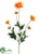 Daisy Spray - Orange - Pack of 6