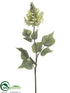 Silk Plants Direct Flame Tree Flower Spray - Cream Green - Pack of 4