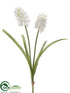 Silk Plants Direct Grape Hyacinth Bundle - Cream - Pack of 6