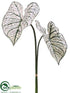 Silk Plants Direct Caladium Leaf Spray - Cream Green - Pack of 4