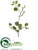 Smilax Leaf Spray - Green Dark - Pack of 6