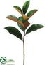 Silk Plants Direct Garden Magnolia Leaf Spray - Green - Pack of 12