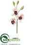 Silk Plants Direct Large Cymbidium Orchid Spray - Cream Burgundy - Pack of 12