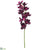 Cymbidium Orchid Spray - Plum - Pack of 4