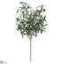 Silk Plants Direct Olive Bundle With Twine - Green Plum - Pack of 36