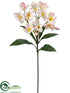 Silk Plants Direct Plumeria Spray - Pink Cream - Pack of 4