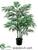 Bamboo Palm Tree - Green - Pack of 2