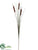 Cattail Spray - Brown - Pack of 6