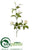 Clematis Spray - Cream - Pack of 6