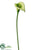 Small Calla Lily Spray - Green - Pack of 6