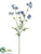 Baby Cosmos Spray - Blue - Pack of 6