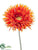 Jumbo Spider Gerbera Daisy Spray - Orange Yellow - Pack of 6