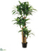 Silk Plants Direct Tropical Dracaena Tree - Green Two Tone - Pack of 1