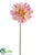 Large Royal Gerbera Daisy Spray - Peach - Pack of 6