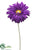 Large Royal Gerbera Daisy Spray - Purple Dark - Pack of 6