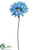 Royal Gerbera Daisy Spray - Turquoise - Pack of 6