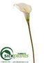 Silk Plants Direct Calla Lily Spray - Cream - Pack of 6