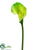 Calla Lily Spray - Green - Pack of 6