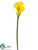 Calla Lily Spray - Yellow - Pack of 6