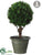 Cedar Topiary Ball - Green - Pack of 1