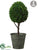 Cedar Topiary Ball - Green - Pack of 1