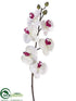 Silk Plants Direct Phalaenopsis Orchid Spray - White Burgundy - Pack of 6