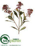 Silk Plants Direct Skimmia Spray - Mauve - Pack of 6