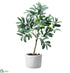 Silk Plants Direct Olive Tree - Green - Pack of 6