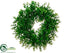 Silk Plants Direct Japanese Boxwood Wreath - Green - Pack of 2